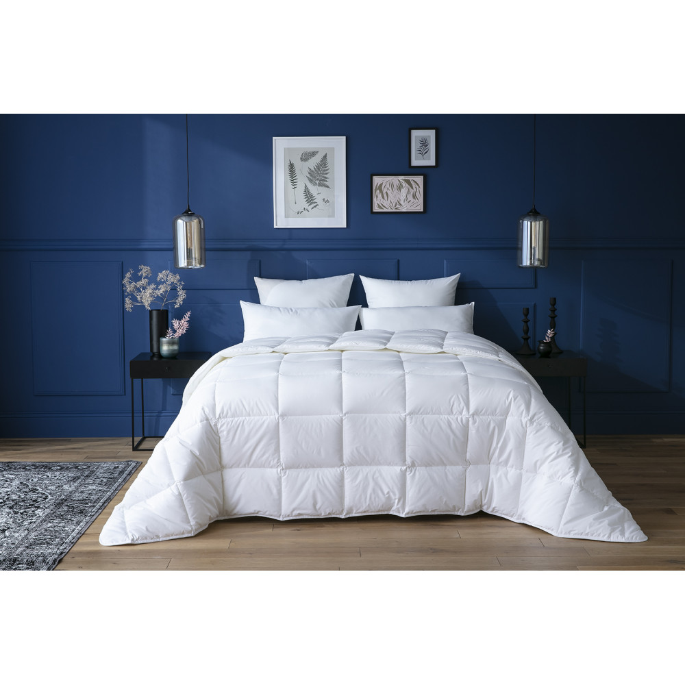 Couette percale de coton Superwash® Abeil Premium