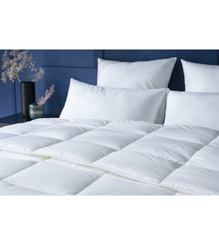 Oreiller percale de coton Superwash®  Abeil Premium