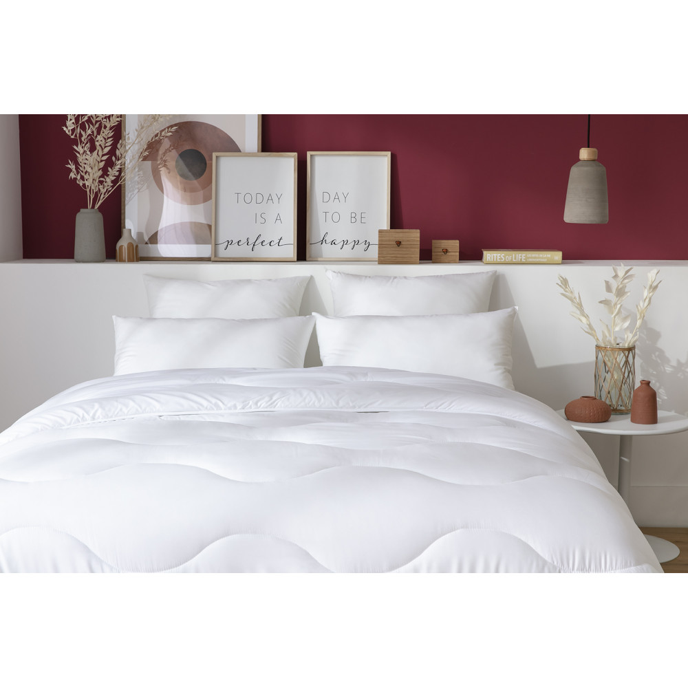 Dodo - Couette Toucher Duvet Chaude 240x260 Cm à Prix Carrefour